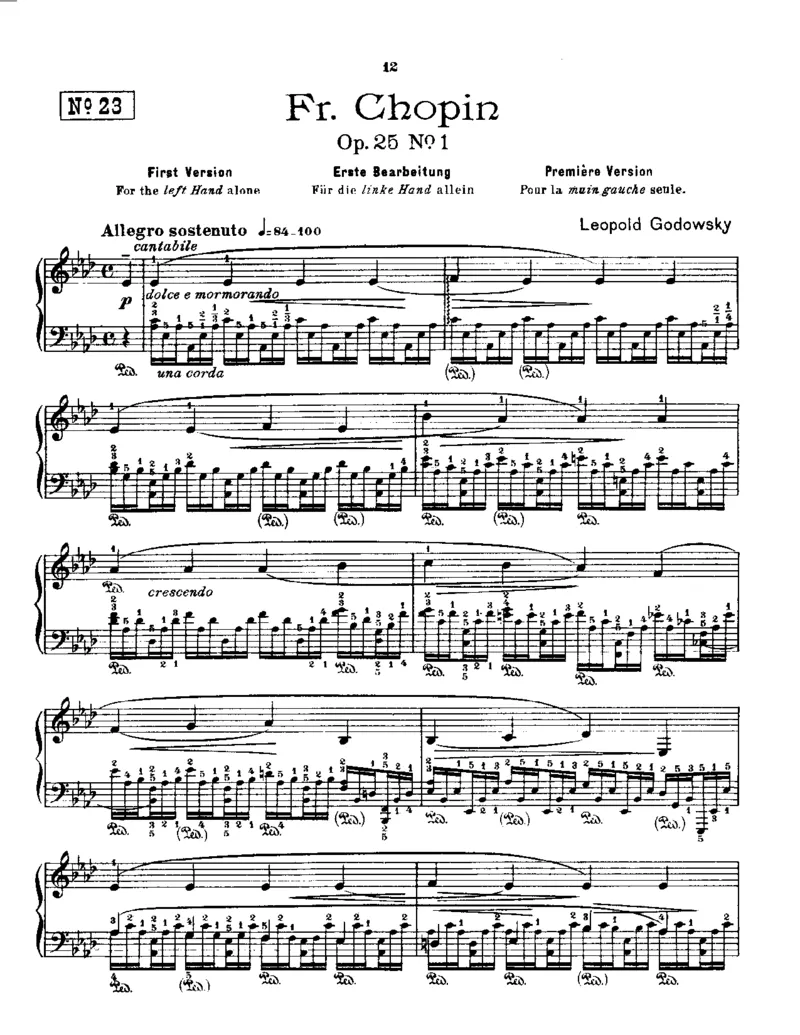 Godowsky-Chopin-53Etudes_一万首著名钢琴曲谱哈农贝多芬合集视频教学电子版高清无水印可打印_1古典钢琴知名音乐家谱_超高难度钢琴谱