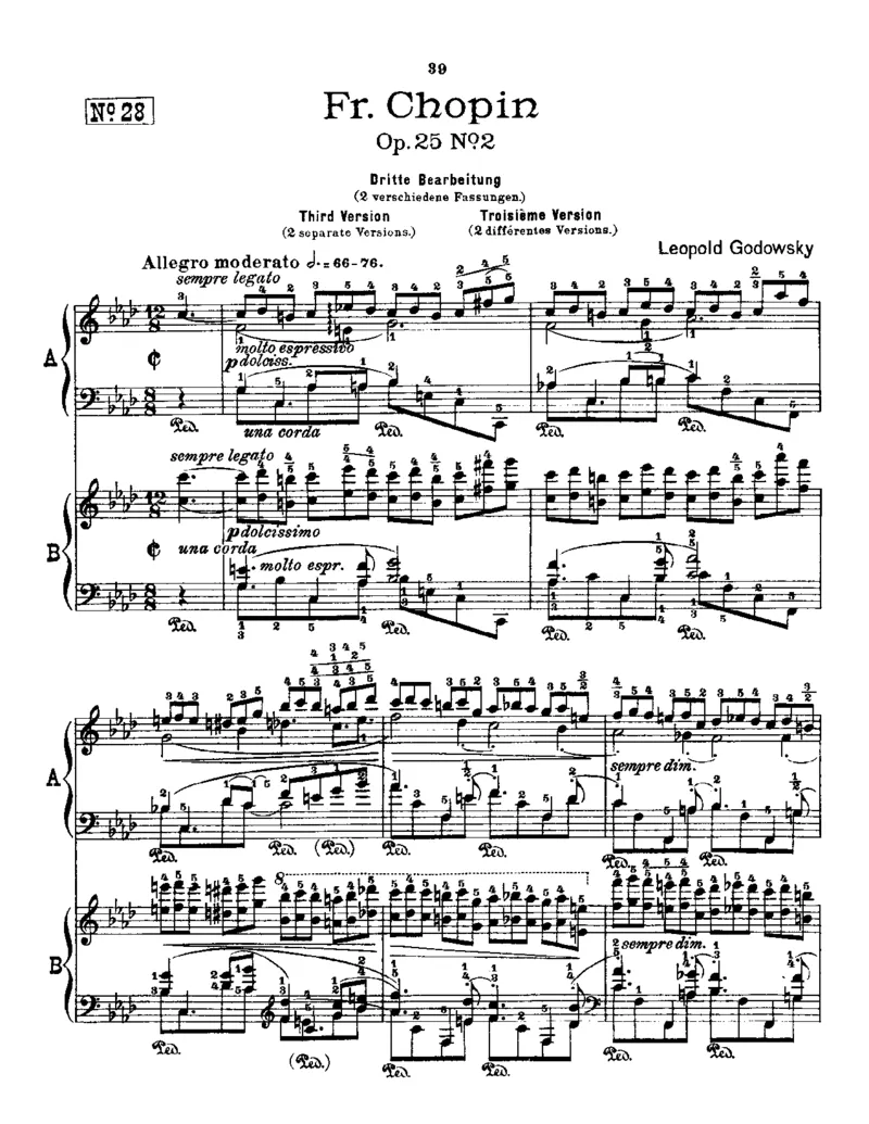 Godowsky-Chopin-53Etudes_一万首著名钢琴曲谱哈农贝多芬合集视频教学电子版高清无水印可打印_1古典钢琴知名音乐家谱_超高难度钢琴谱