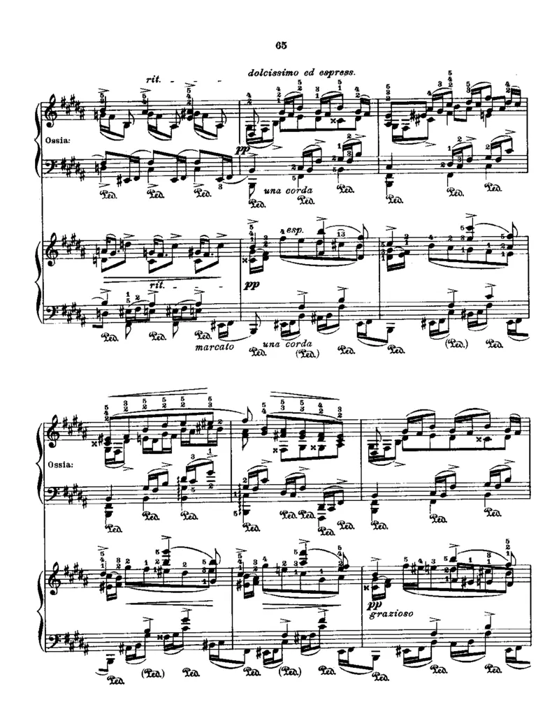 Godowsky-Chopin-53Etudes_一万首著名钢琴曲谱哈农贝多芬合集视频教学电子版高清无水印可打印_1古典钢琴知名音乐家谱_超高难度钢琴谱