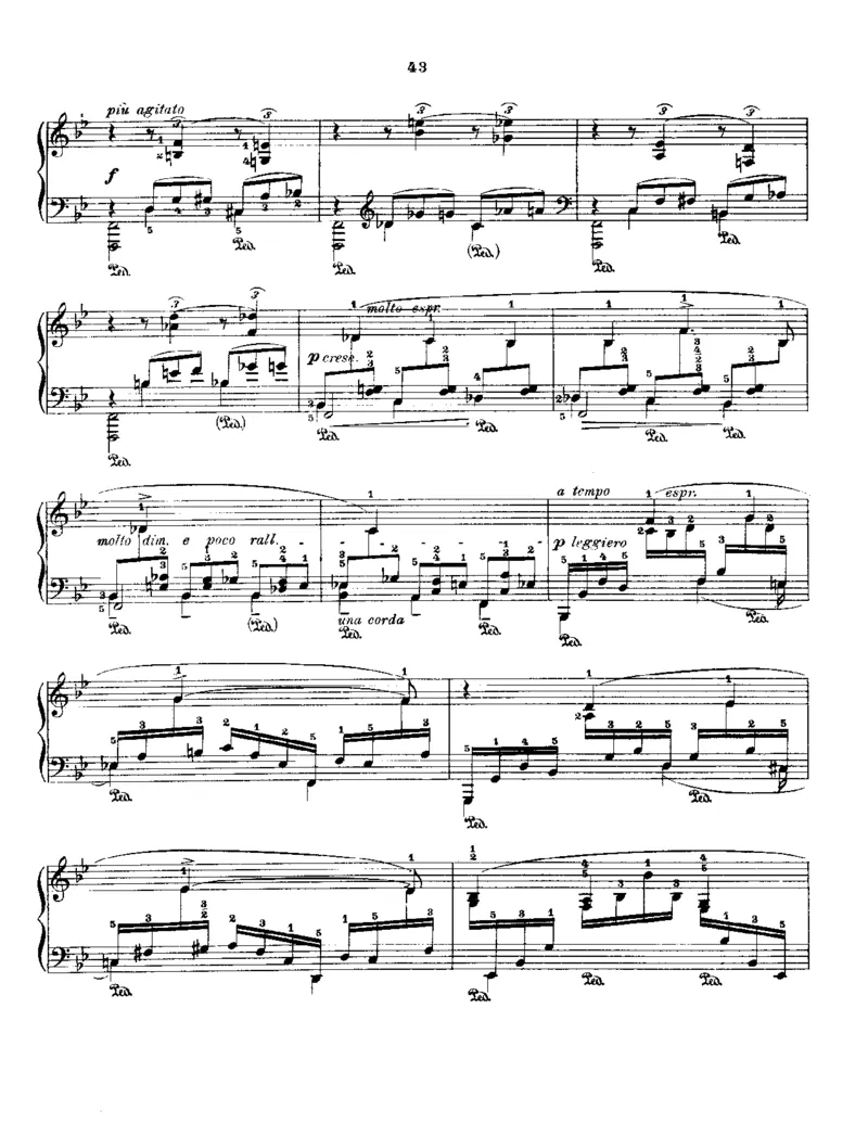 Godowsky-Chopin-53Etudes_一万首著名钢琴曲谱哈农贝多芬合集视频教学电子版高清无水印可打印_1古典钢琴知名音乐家谱_超高难度钢琴谱