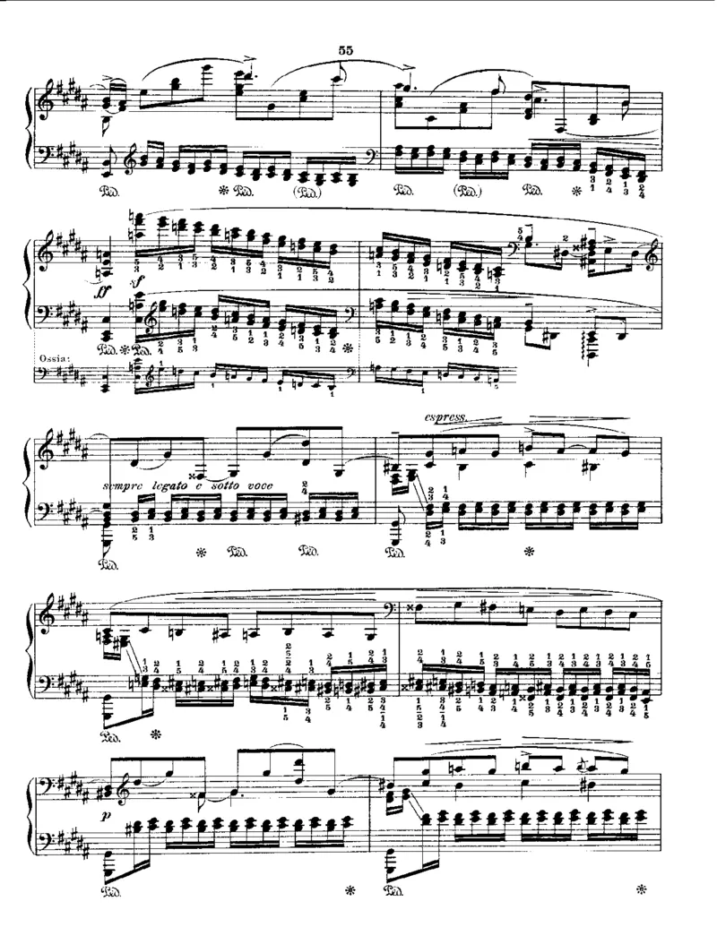 Godowsky-Chopin-53Etudes_一万首著名钢琴曲谱哈农贝多芬合集视频教学电子版高清无水印可打印_1古典钢琴知名音乐家谱_超高难度钢琴谱