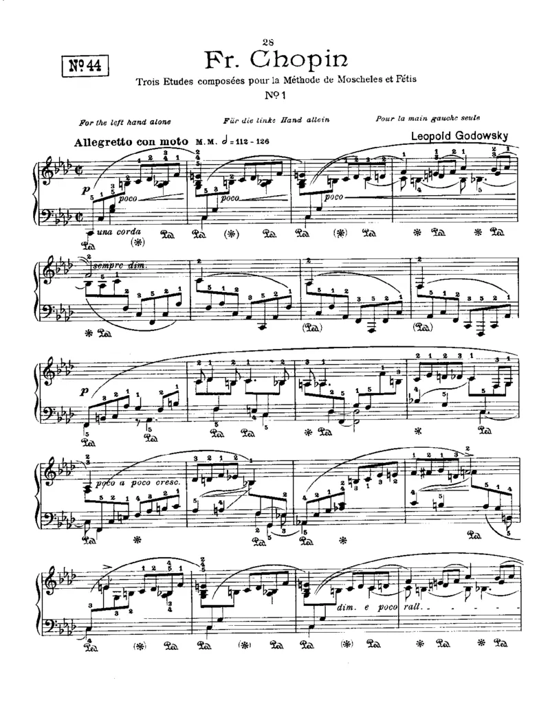 Godowsky-Chopin-53Etudes_一万首著名钢琴曲谱哈农贝多芬合集视频教学电子版高清无水印可打印_1古典钢琴知名音乐家谱_超高难度钢琴谱