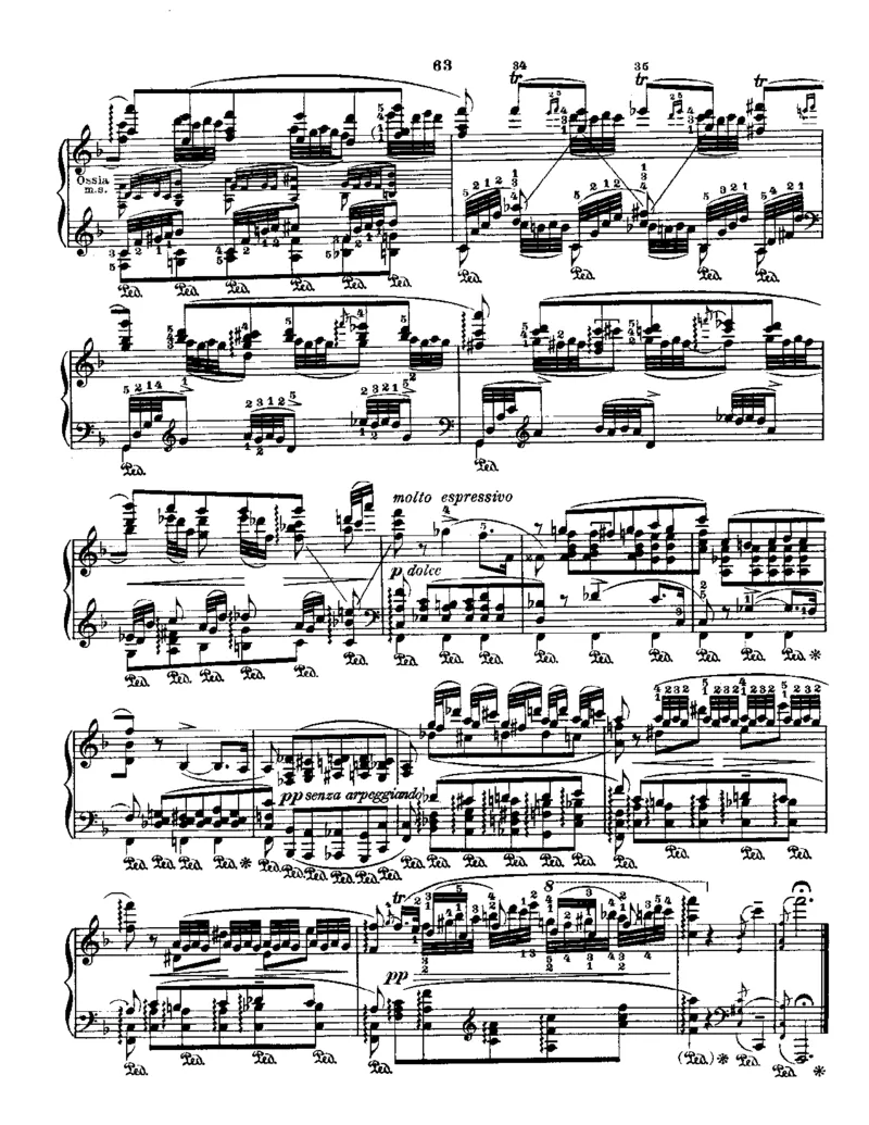 Godowsky-Chopin-53Etudes_一万首著名钢琴曲谱哈农贝多芬合集视频教学电子版高清无水印可打印_1古典钢琴知名音乐家谱_超高难度钢琴谱