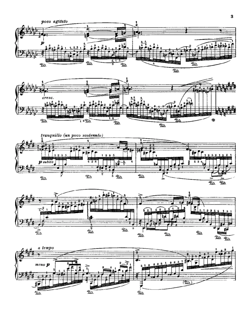 Godowsky-Chopin-53Etudes_一万首著名钢琴曲谱哈农贝多芬合集视频教学电子版高清无水印可打印_1古典钢琴知名音乐家谱_超高难度钢琴谱