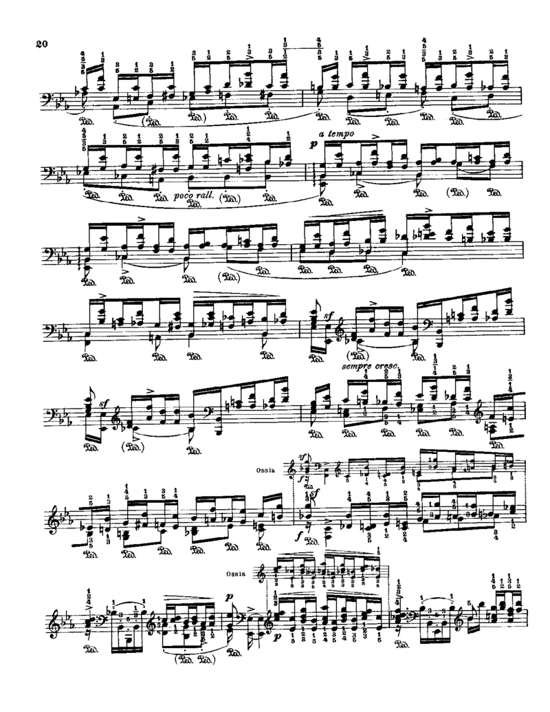 Godowsky-Chopin-53Etudes_一万首著名钢琴曲谱哈农贝多芬合集视频教学电子版高清无水印可打印_1古典钢琴知名音乐家谱_超高难度钢琴谱