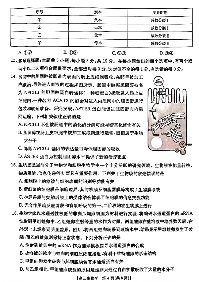 河北省2024-2025学年高三年级上学期9月份考试生物试题_2024-2025高三（6-6月题库）_2024年09月试卷_09282024-2025学年河北省金太阳高三年级上学期9月份考试（25-35C）