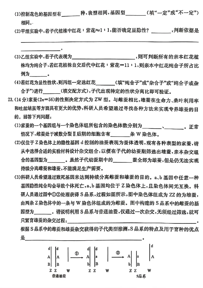 河北省2024-2025学年高三年级上学期9月份考试生物试题_2024-2025高三（6-6月题库）_2024年09月试卷_09282024-2025学年河北省金太阳高三年级上学期9月份考试（25-35C）