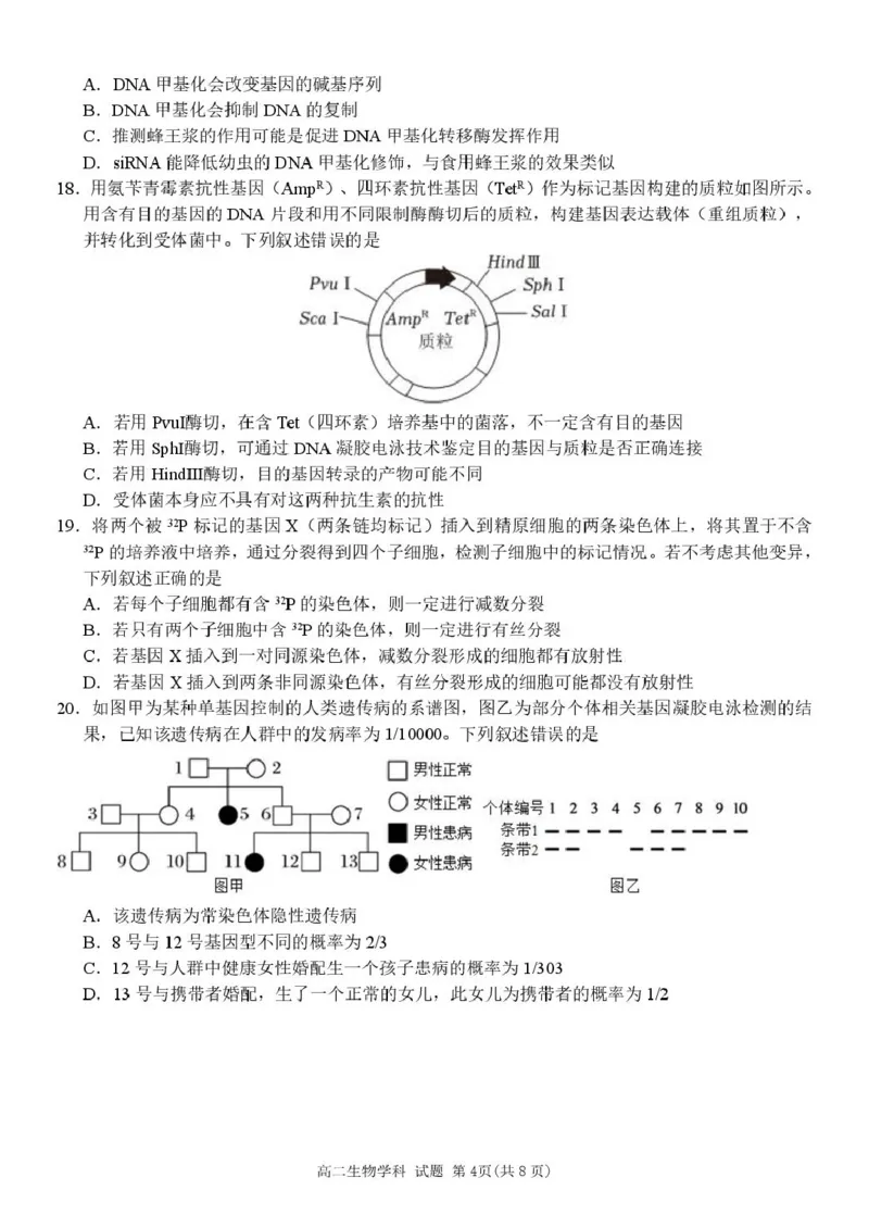 浙江省浙东北县域名校发展联盟2024-2025学年高二下学期4月期中生物试题_2024-2025高二（7-7月题库）_2025年05月试卷_浙江省浙东北县域名校发展联盟2024-2025学年高二下学期4月期中生物试题