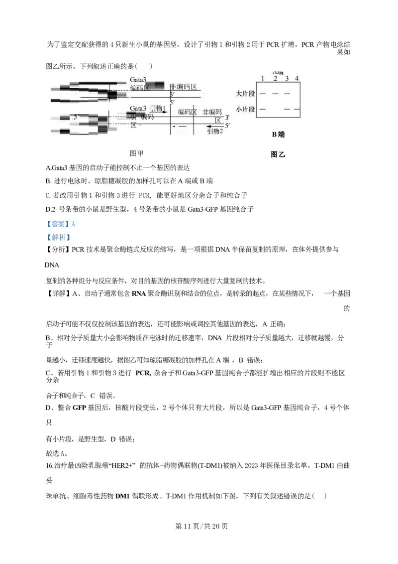 广东省广州三校（广铁一中、广州外国语学校、广州大学附属中学）2023-2024学年高二下学期期末考试+生物_2024-2025高三（6-6月题库）_2024年07月试卷