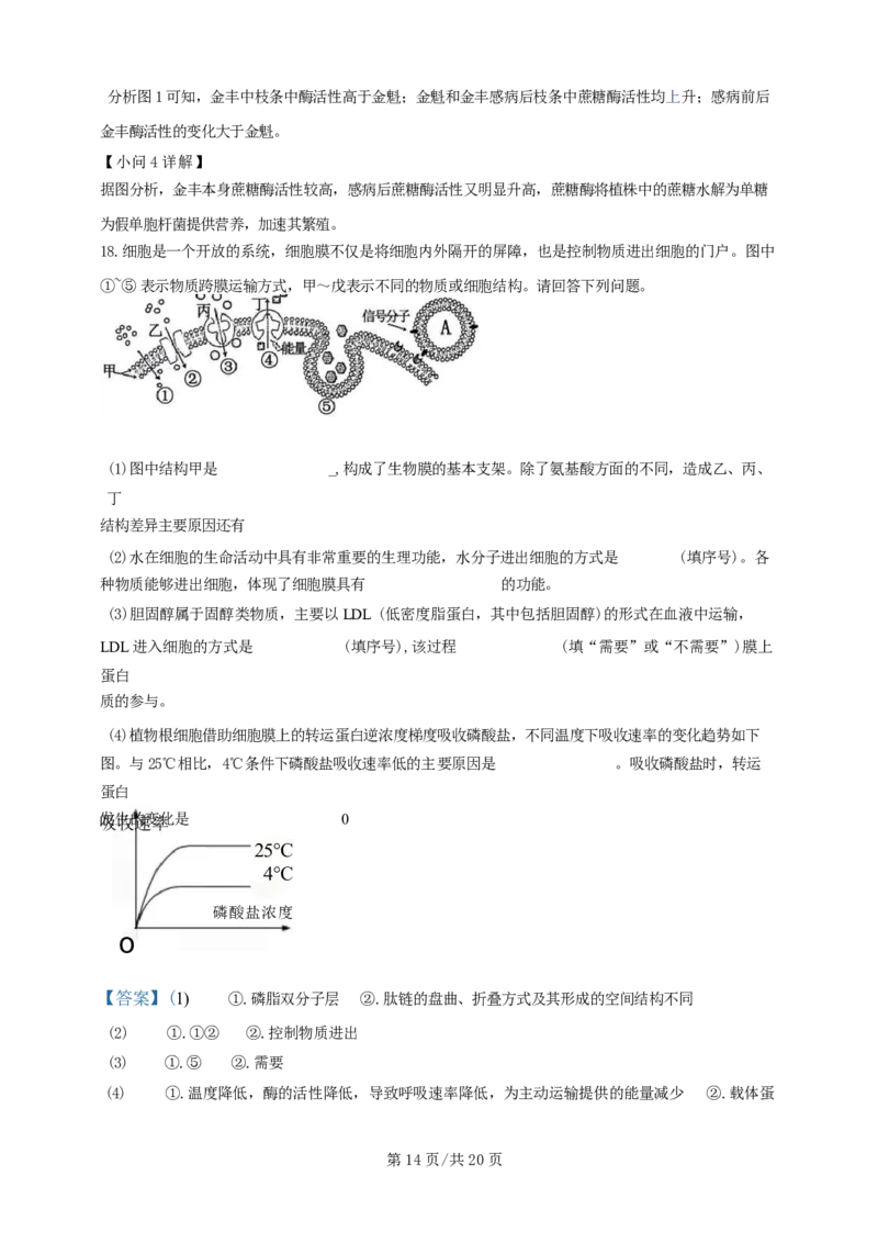 广东省广州三校（广铁一中、广州外国语学校、广州大学附属中学）2023-2024学年高二下学期期末考试+生物_2024-2025高三（6-6月题库）_2024年07月试卷