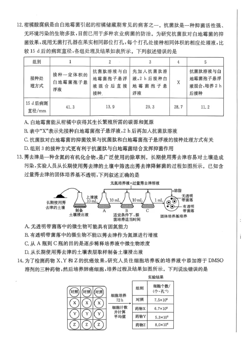 广东省佛山市H7联盟2024-2025学年高二5月联考生物试题_2024-2025高二（7-7月题库）_2025年05月试卷_0530广东省佛山市H7联盟学校2024-2025学年高二下学期5月月考
