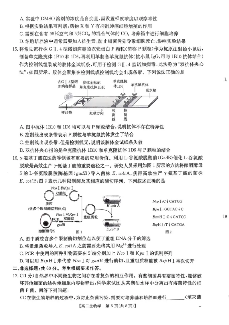 广东省佛山市H7联盟2024-2025学年高二5月联考生物试题_2024-2025高二（7-7月题库）_2025年05月试卷_0530广东省佛山市H7联盟学校2024-2025学年高二下学期5月月考