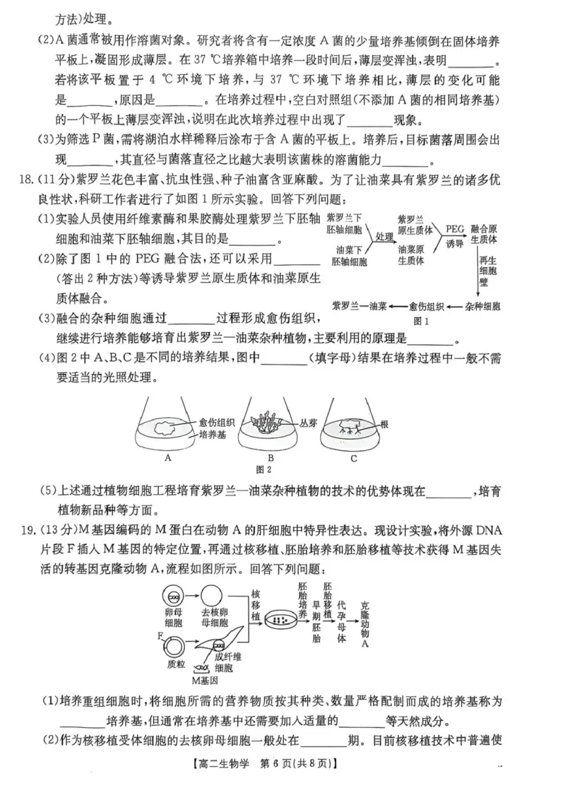 广东省佛山市H7联盟2024-2025学年高二5月联考生物试题_2024-2025高二（7-7月题库）_2025年05月试卷_0530广东省佛山市H7联盟学校2024-2025学年高二下学期5月月考