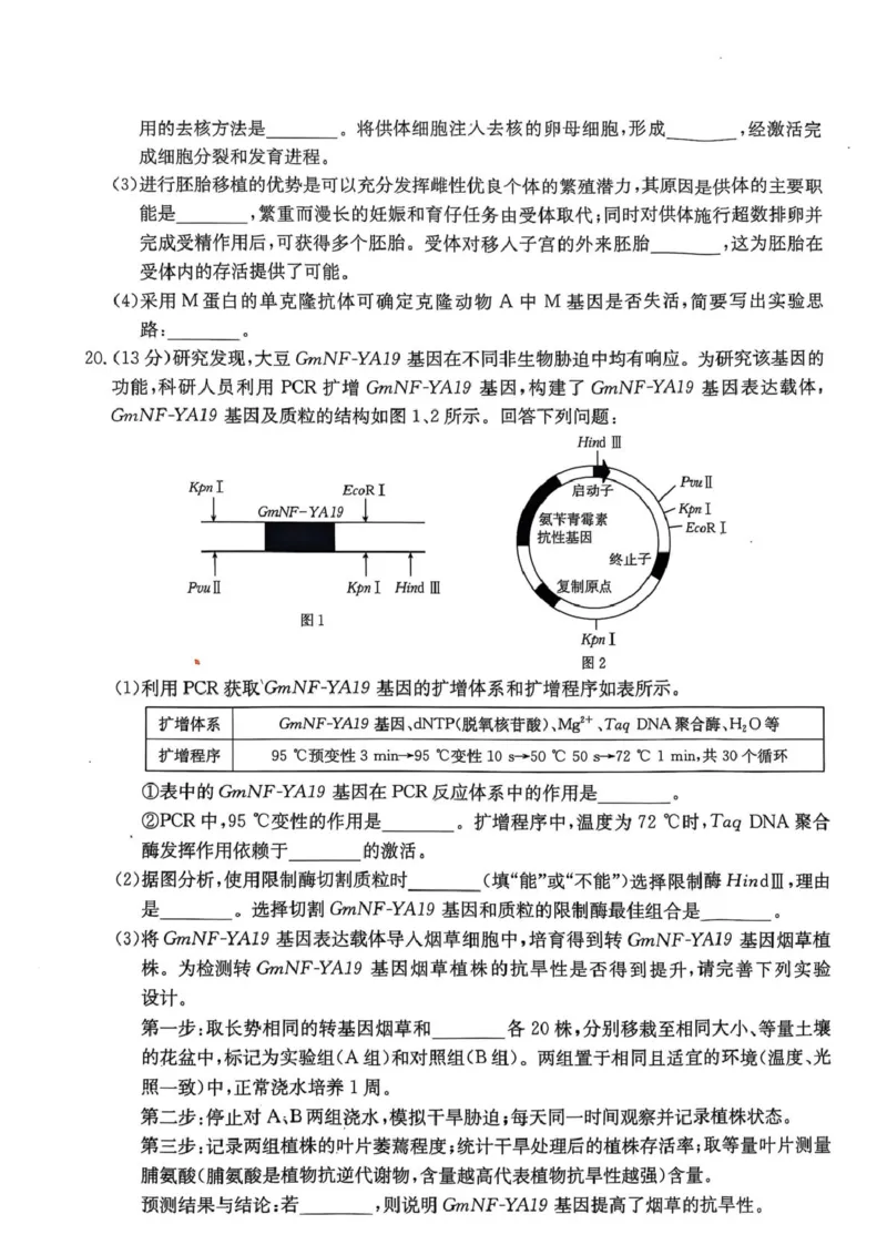 广东省佛山市H7联盟2024-2025学年高二5月联考生物试题_2024-2025高二（7-7月题库）_2025年05月试卷_0530广东省佛山市H7联盟学校2024-2025学年高二下学期5月月考