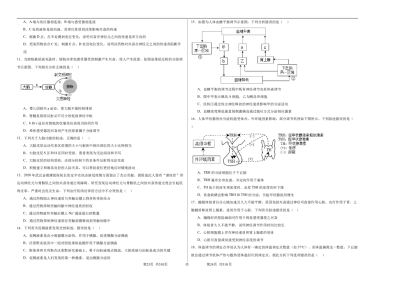 宁夏回族自治区石嘴山市惠农区石嘴山市第一中学2024-2025学年高二上学期9月月考生物试题_2024-2025高二（7-7月题库）_2024年10月试卷
