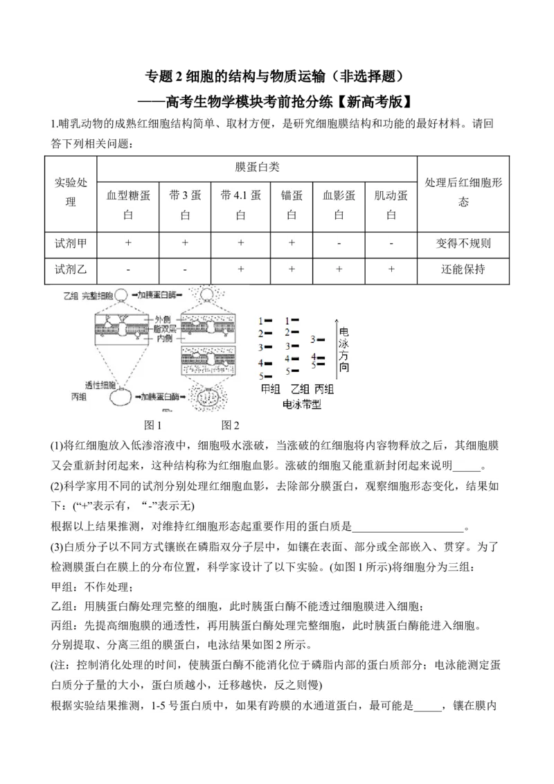 专题2细胞的结构与物质运输（非选择题）&mdash;&mdash;高考生物学模块分练新高考版（含解析）_2024-2025高三（6-6月题库）_2026年1月高三