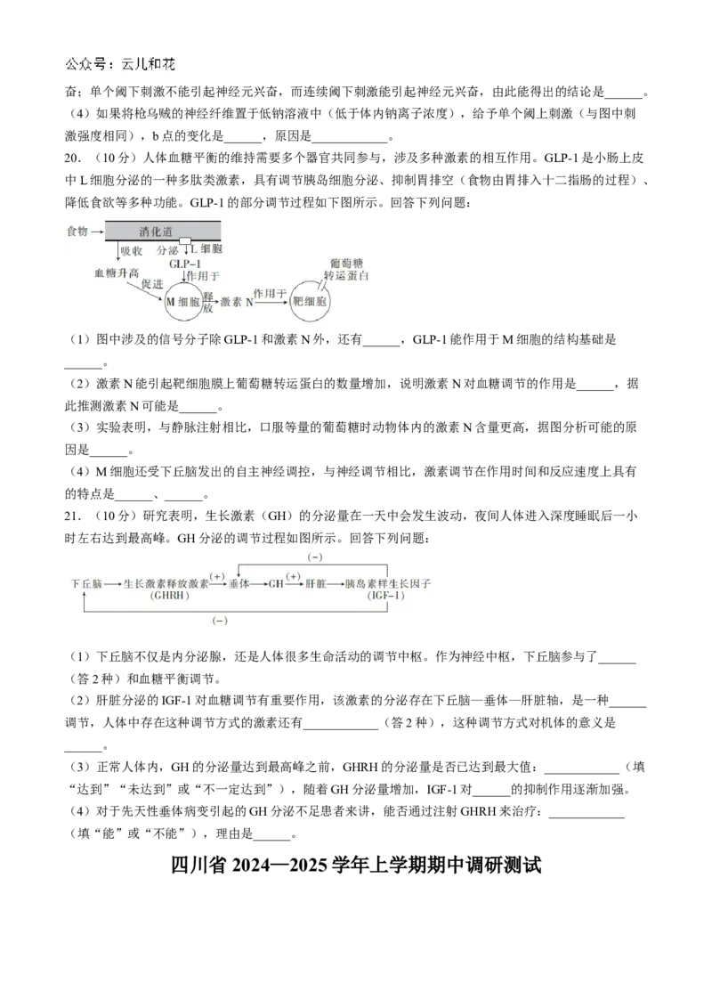 四川省2024-2025学年高二上学期期中调研测试生物试题（含解析）_2024-2025高二（7-7月题库）_2024年12月试卷_1201四川省2024-2025学年高二上学期期中调研测试