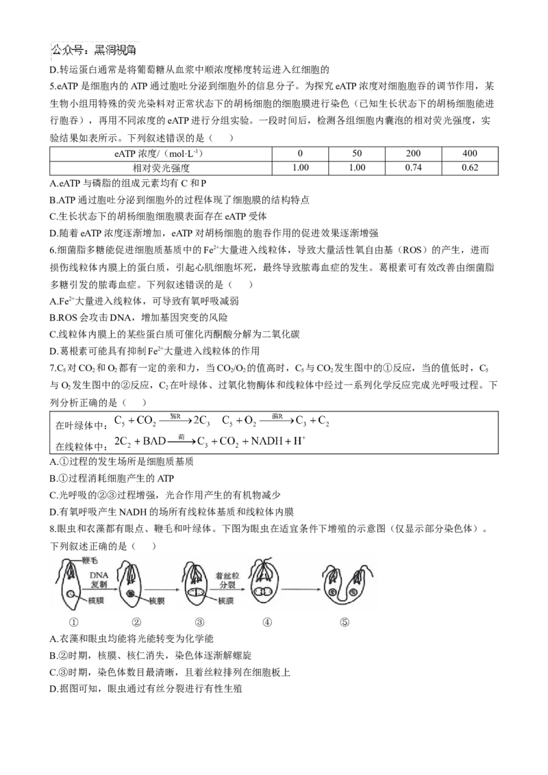 山西省三晋名校联考2024-2025学年高三上学期10月考试生物学试题（含解析）_2024-2025高三（6-6月题库）_2024年10月试卷_10302024-2025学年山西三晋名校联考高三十月联合考试