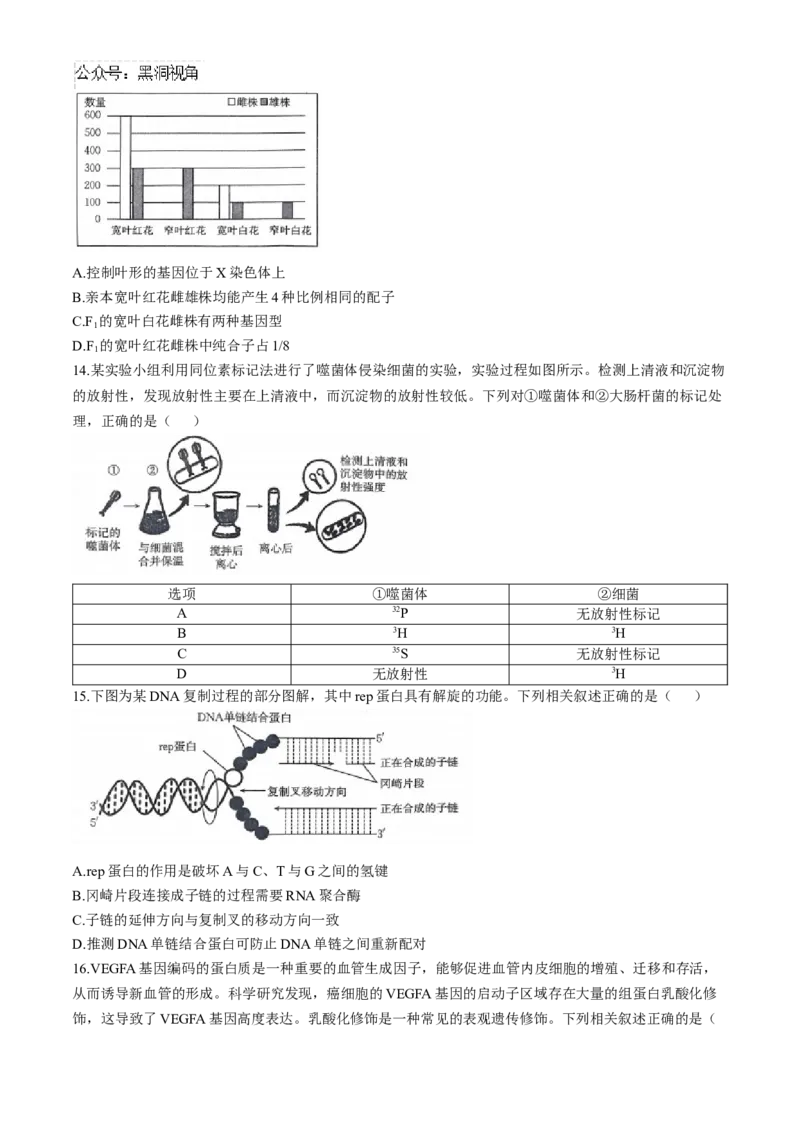 山西省三晋名校联考2024-2025学年高三上学期10月考试生物学试题（含解析）_2024-2025高三（6-6月题库）_2024年10月试卷_10302024-2025学年山西三晋名校联考高三十月联合考试