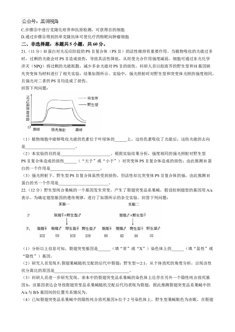 山西省三晋名校联考2024-2025学年高三上学期10月考试生物学试题（含解析）_2024-2025高三（6-6月题库）_2024年10月试卷_10302024-2025学年山西三晋名校联考高三十月联合考试