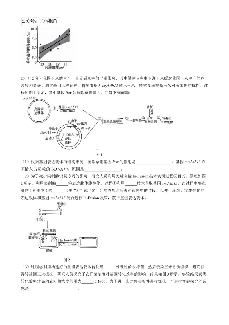 山西省三晋名校联考2024-2025学年高三上学期10月考试生物学试题（含解析）_2024-2025高三（6-6月题库）_2024年10月试卷_10302024-2025学年山西三晋名校联考高三十月联合考试
