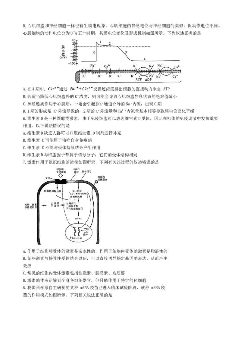 湖南省名校联盟2024-2025学年高二上学期12月检测生物试题_2024-2025高二（7-7月题库）_2025年01月试卷_0101湖南省名校联盟2024-2025学年高二上学期12月联考
