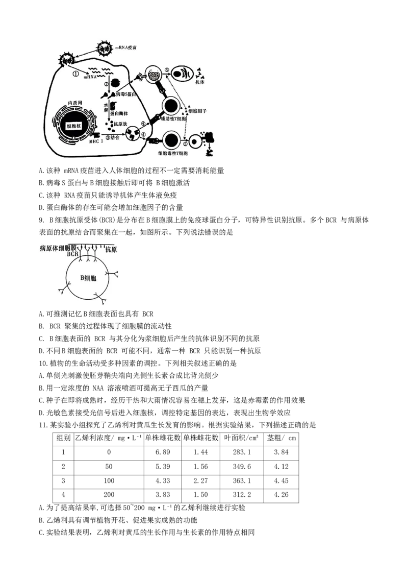 湖南省名校联盟2024-2025学年高二上学期12月检测生物试题_2024-2025高二（7-7月题库）_2025年01月试卷_0101湖南省名校联盟2024-2025学年高二上学期12月联考