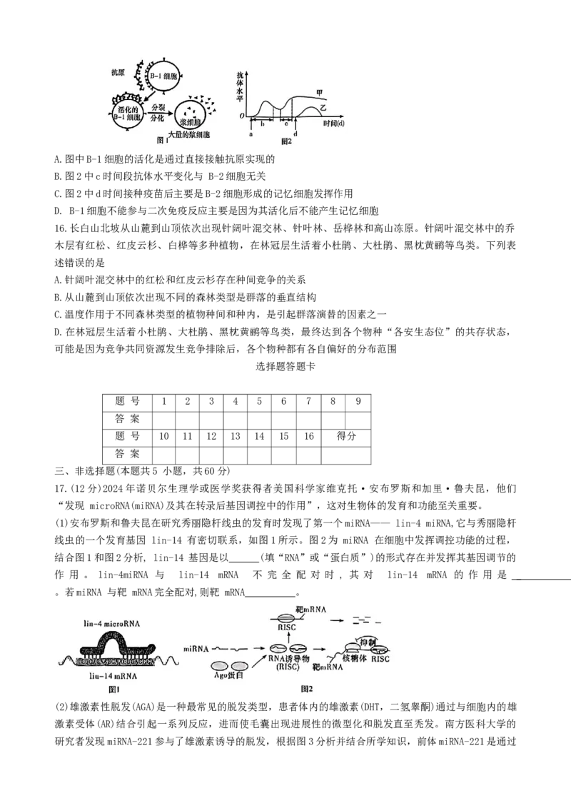 湖南省名校联盟2024-2025学年高二上学期12月检测生物试题_2024-2025高二（7-7月题库）_2025年01月试卷_0101湖南省名校联盟2024-2025学年高二上学期12月联考
