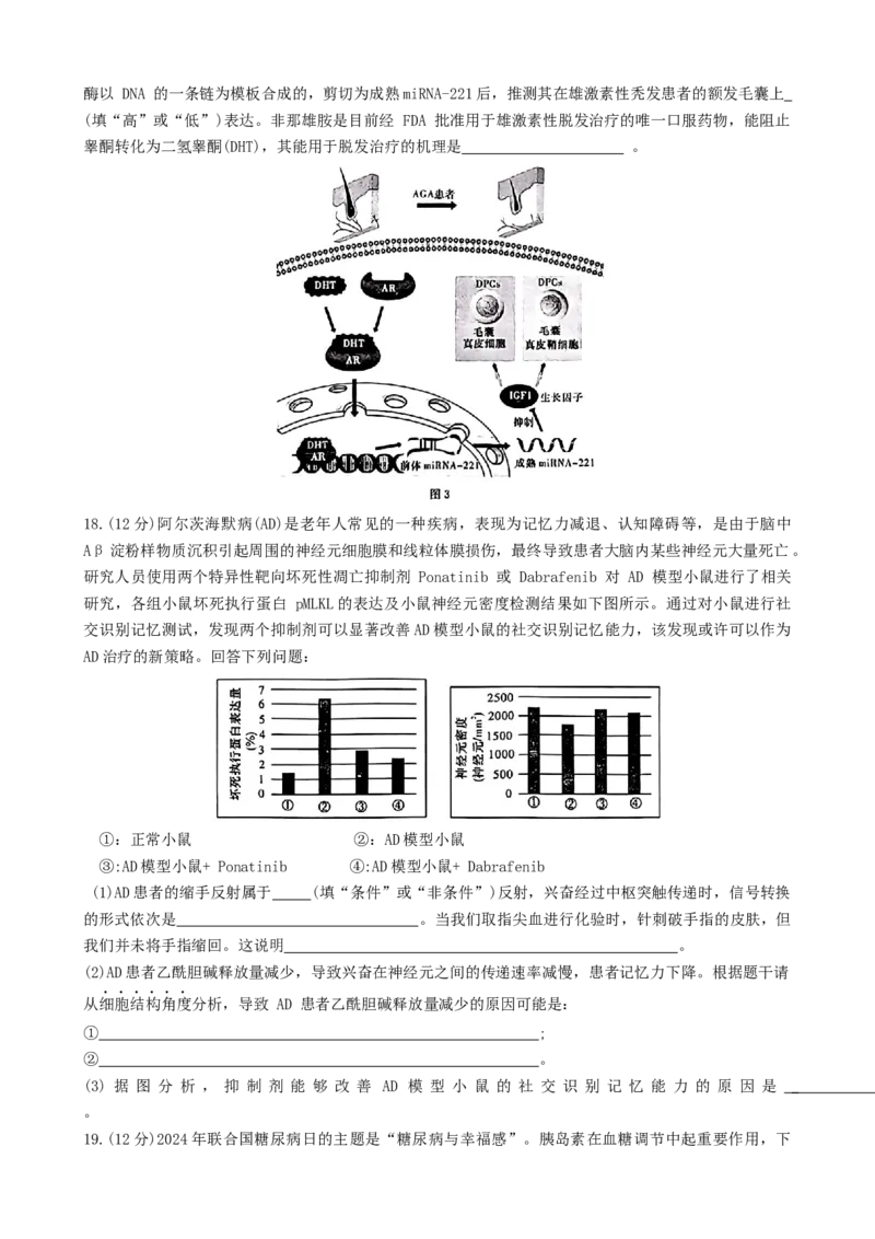 湖南省名校联盟2024-2025学年高二上学期12月检测生物试题_2024-2025高二（7-7月题库）_2025年01月试卷_0101湖南省名校联盟2024-2025学年高二上学期12月联考
