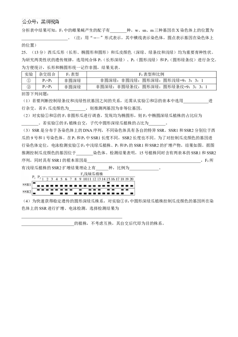 山东省实验中学2024&mdash;2025学年高三上学期第一次诊断生物试题(含答案）_2024-2025高三（6-6月题库）_2024年10月试卷_1018山东省实验中学2024&mdash;2025学年高三上学期第一次诊断