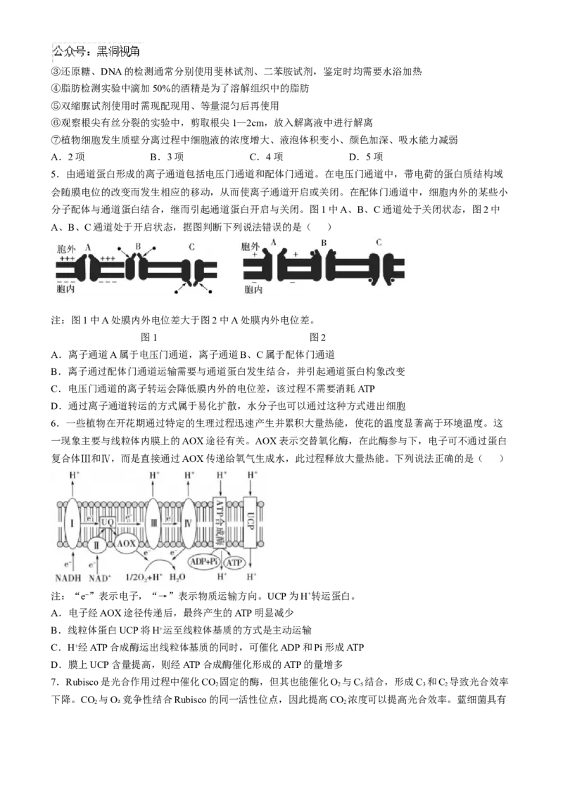山东省实验中学2024&mdash;2025学年高三上学期第一次诊断生物试题(含答案）_2024-2025高三（6-6月题库）_2024年10月试卷_1018山东省实验中学2024&mdash;2025学年高三上学期第一次诊断