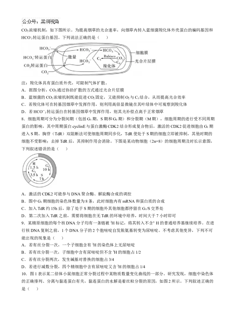 山东省实验中学2024&mdash;2025学年高三上学期第一次诊断生物试题(含答案）_2024-2025高三（6-6月题库）_2024年10月试卷_1018山东省实验中学2024&mdash;2025学年高三上学期第一次诊断
