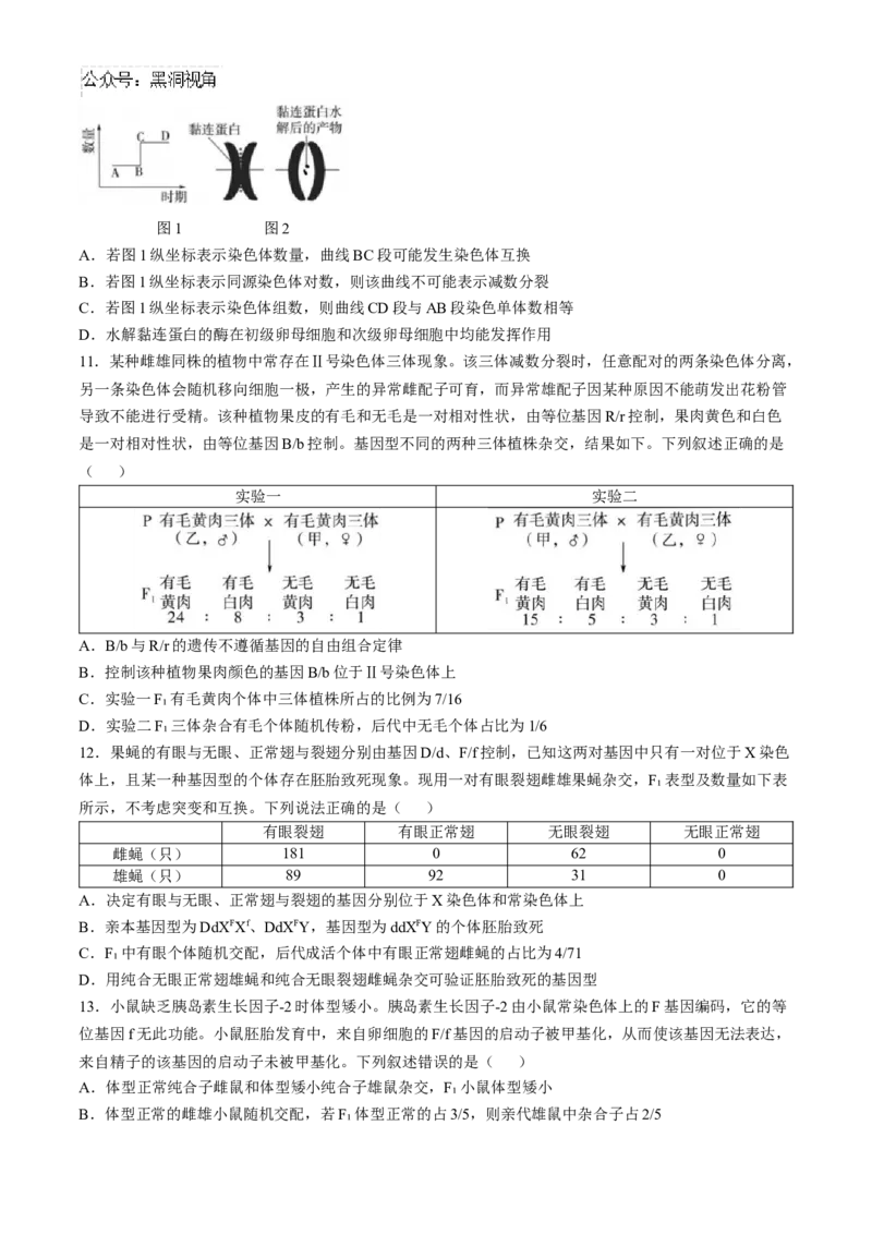 山东省实验中学2024&mdash;2025学年高三上学期第一次诊断生物试题(含答案）_2024-2025高三（6-6月题库）_2024年10月试卷_1018山东省实验中学2024&mdash;2025学年高三上学期第一次诊断