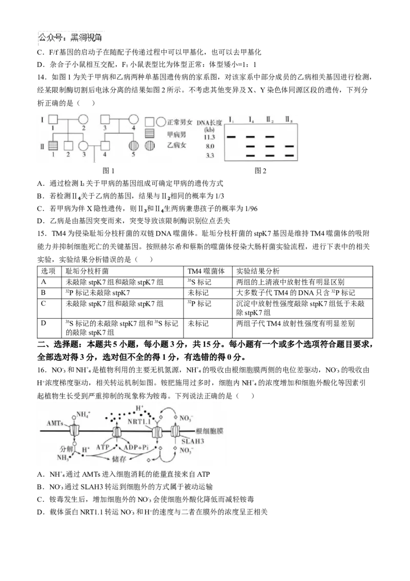 山东省实验中学2024&mdash;2025学年高三上学期第一次诊断生物试题(含答案）_2024-2025高三（6-6月题库）_2024年10月试卷_1018山东省实验中学2024&mdash;2025学年高三上学期第一次诊断