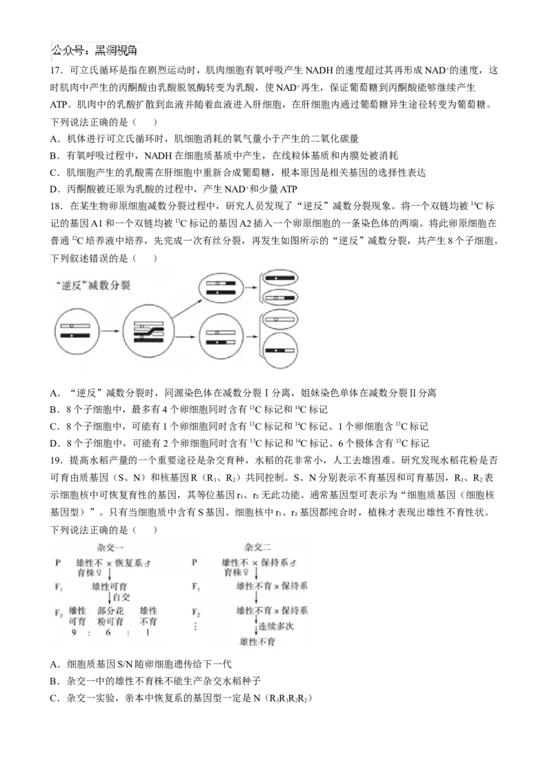 山东省实验中学2024&mdash;2025学年高三上学期第一次诊断生物试题(含答案）_2024-2025高三（6-6月题库）_2024年10月试卷_1018山东省实验中学2024&mdash;2025学年高三上学期第一次诊断