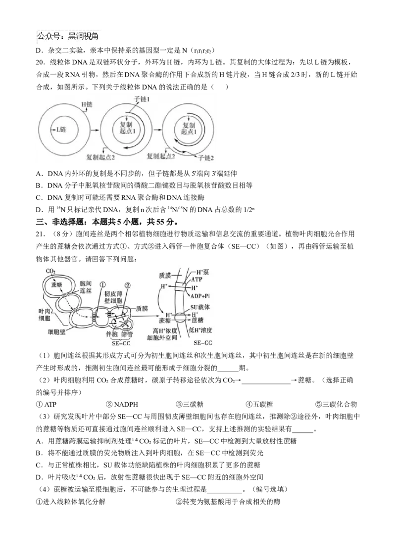 山东省实验中学2024&mdash;2025学年高三上学期第一次诊断生物试题(含答案）_2024-2025高三（6-6月题库）_2024年10月试卷_1018山东省实验中学2024&mdash;2025学年高三上学期第一次诊断