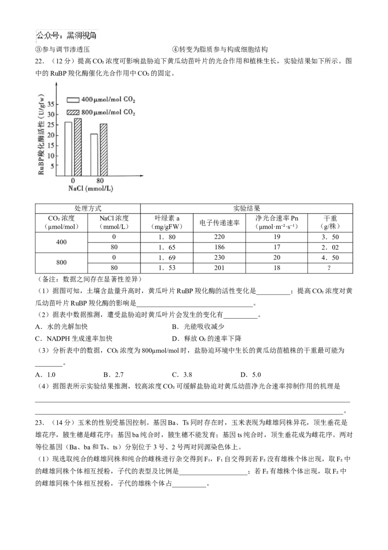 山东省实验中学2024&mdash;2025学年高三上学期第一次诊断生物试题(含答案）_2024-2025高三（6-6月题库）_2024年10月试卷_1018山东省实验中学2024&mdash;2025学年高三上学期第一次诊断