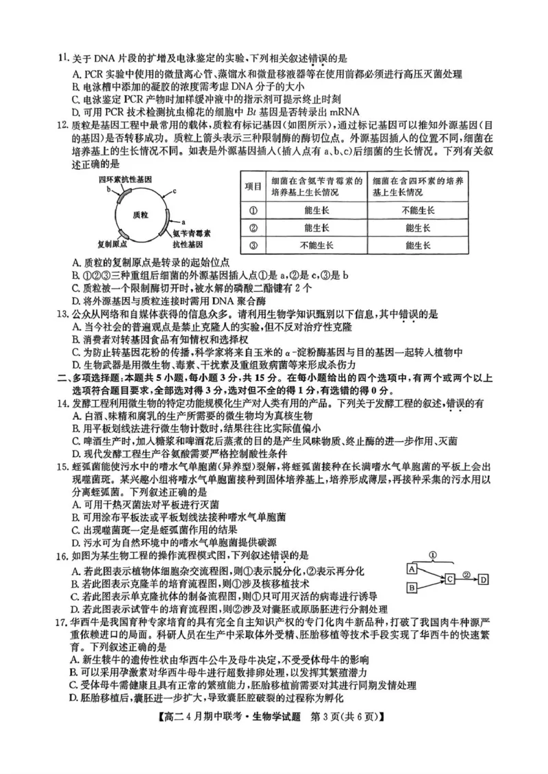 河北省保定市六校联盟2024-2025学年高二下学期4月期中考试生物试题（扫描版有答案）_2024-2025高二（7-7月题库）_2025年05月试卷