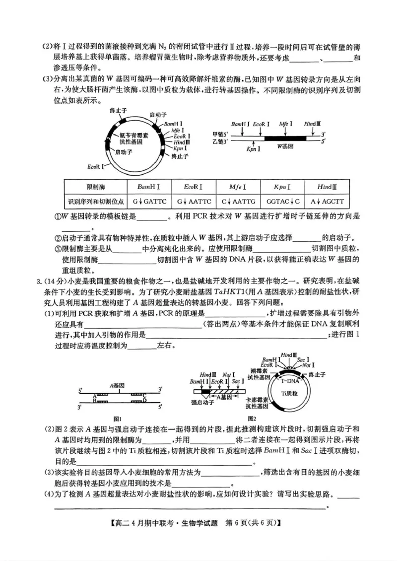 河北省保定市六校联盟2024-2025学年高二下学期4月期中考试生物试题（扫描版有答案）_2024-2025高二（7-7月题库）_2025年05月试卷