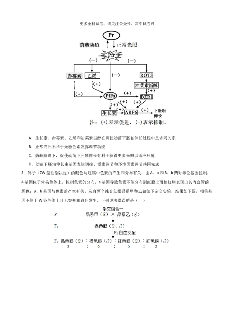 生物（九省联考考后提升卷，河南）（原卷版）_2024年4月_其他_2024年1月新&ldquo;九省联考&rdquo;考后提升卷（原卷+解析）_2024年1月&ldquo;九省联考&rdquo;生物真题完全解读与考后提升
