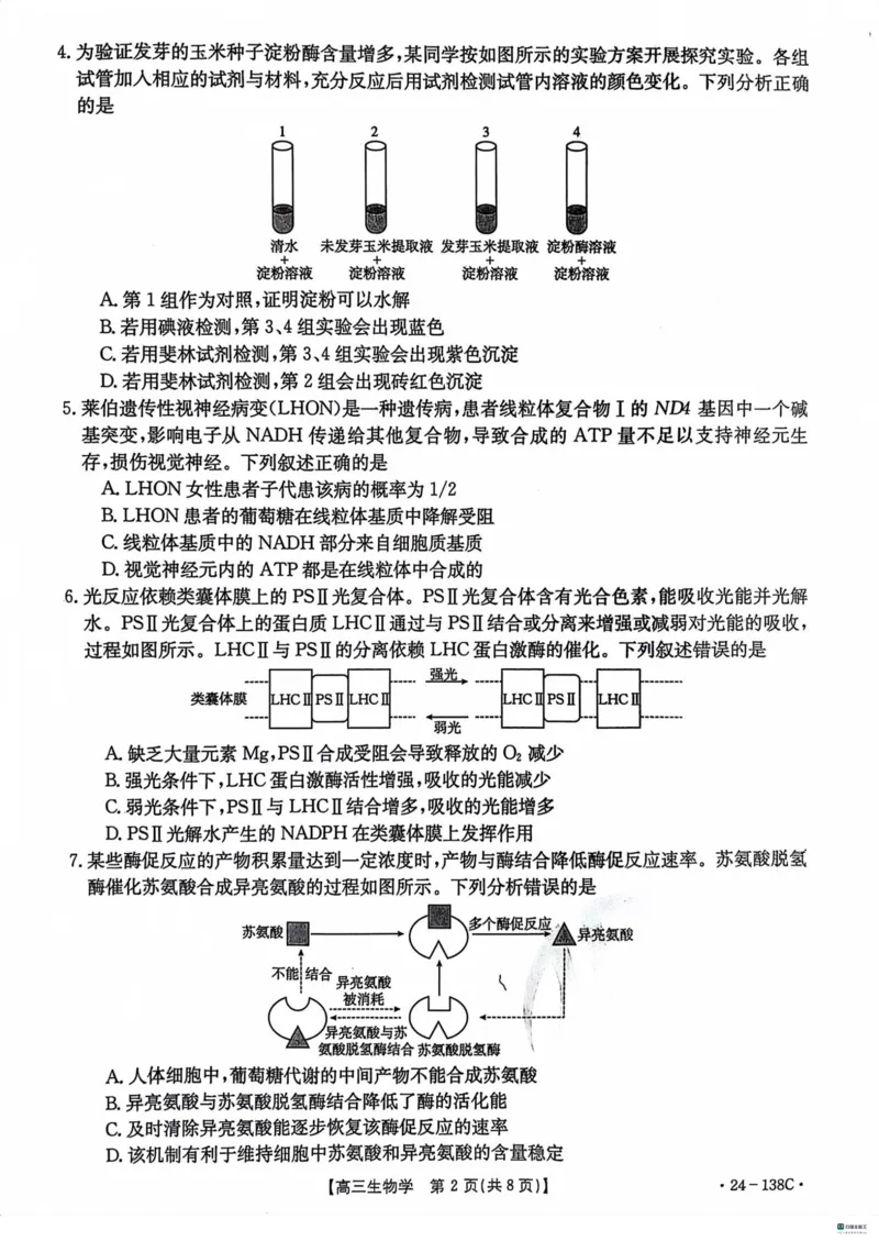 河北省2024届高三上学期11月金太阳联考（24-138C）生物(1)_2023年11月_01每日更新_19号_2024届河北省高三上学期11月金太阳联考（24-138C）