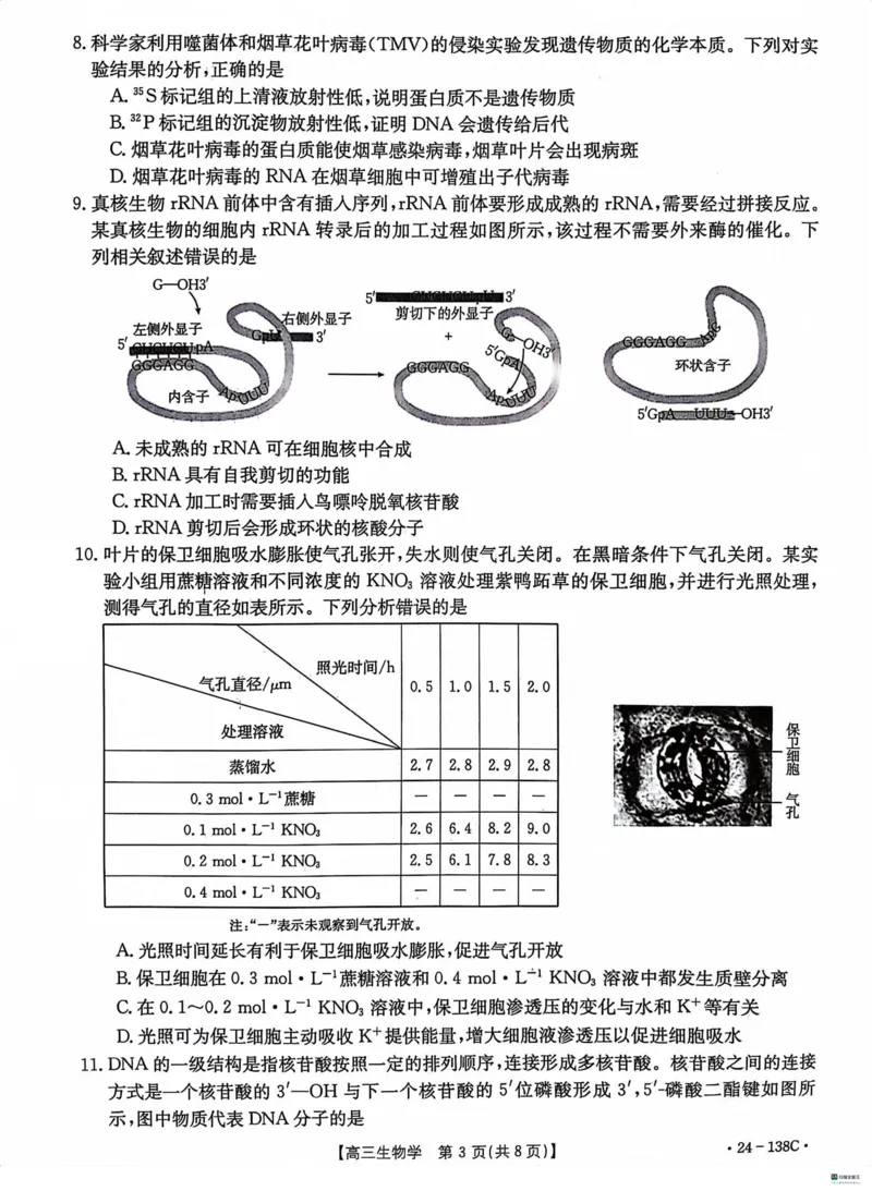 河北省2024届高三上学期11月金太阳联考（24-138C）生物(1)_2023年11月_01每日更新_19号_2024届河北省高三上学期11月金太阳联考（24-138C）