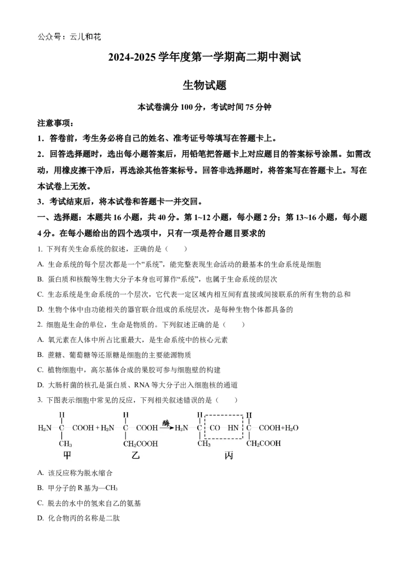 广东省阳江市高新区2024-2025学年高二上学期11月期中生物试题Word版无答案_2024-2025高二（7-7月题库）_2024年12月试卷_1203广东省阳江市高新区2024-2025学年高二上学期11月期中考试