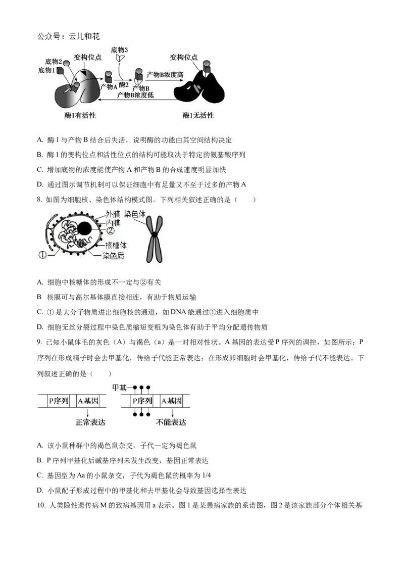 广东省阳江市高新区2024-2025学年高二上学期11月期中生物试题Word版无答案_2024-2025高二（7-7月题库）_2024年12月试卷_1203广东省阳江市高新区2024-2025学年高二上学期11月期中考试