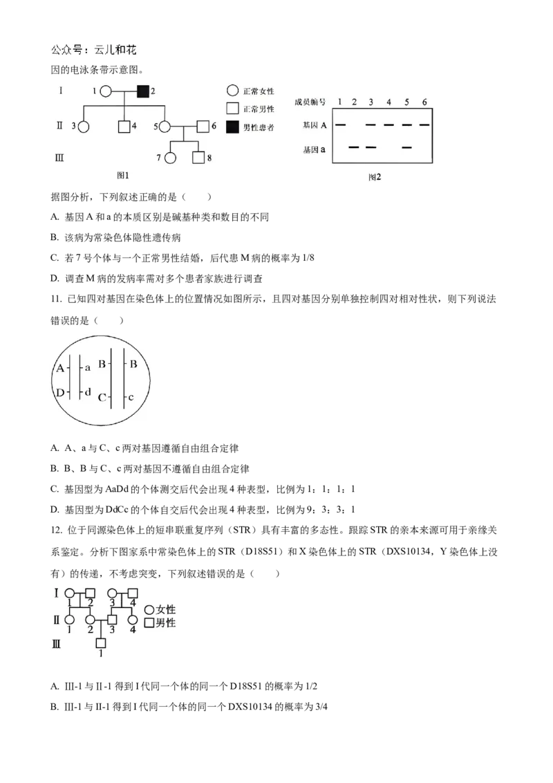 广东省阳江市高新区2024-2025学年高二上学期11月期中生物试题Word版无答案_2024-2025高二（7-7月题库）_2024年12月试卷_1203广东省阳江市高新区2024-2025学年高二上学期11月期中考试