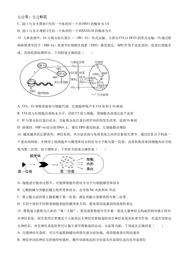 广东省阳江市高新区2024-2025学年高二上学期11月期中生物试题Word版无答案_2024-2025高二（7-7月题库）_2024年12月试卷_1203广东省阳江市高新区2024-2025学年高二上学期11月期中考试