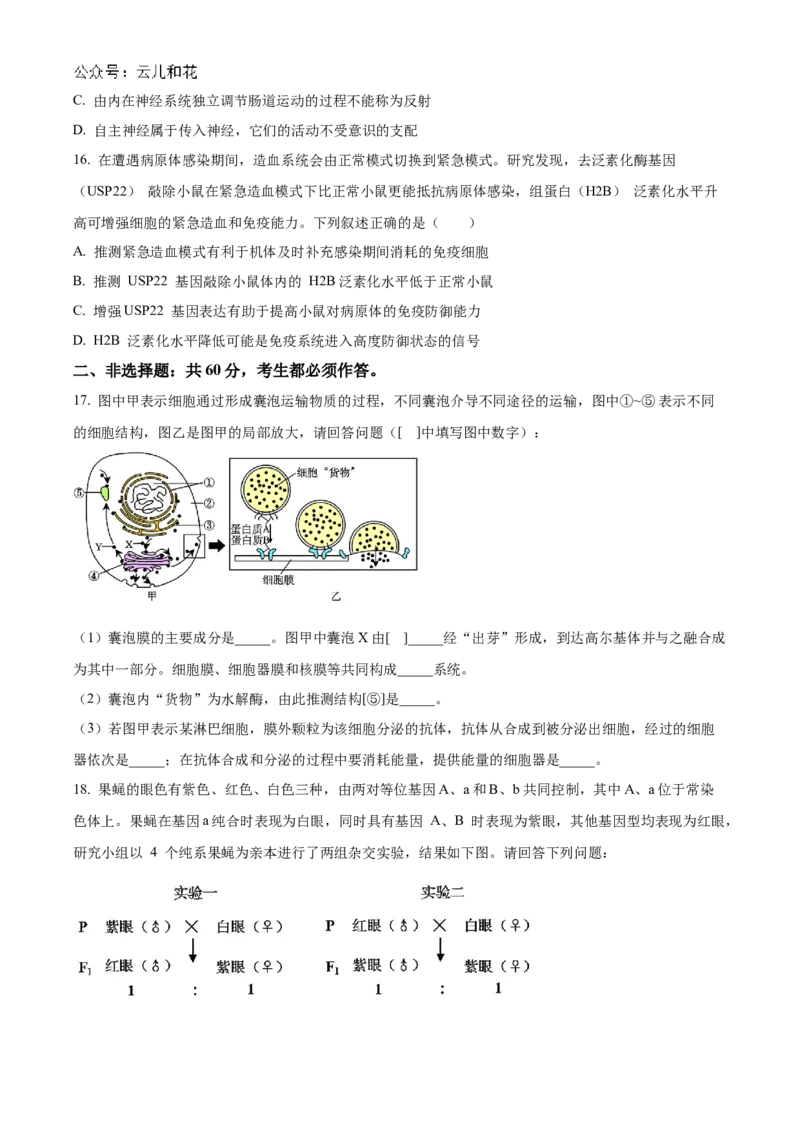 广东省阳江市高新区2024-2025学年高二上学期11月期中生物试题Word版无答案_2024-2025高二（7-7月题库）_2024年12月试卷_1203广东省阳江市高新区2024-2025学年高二上学期11月期中考试