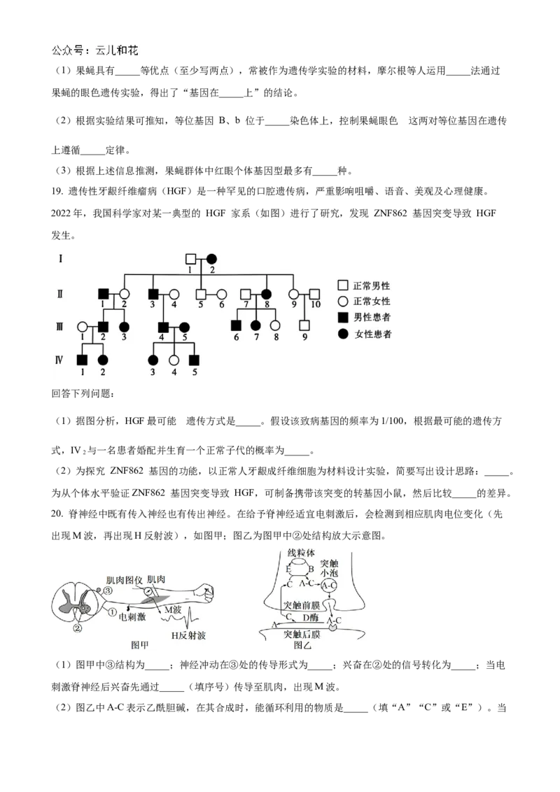 广东省阳江市高新区2024-2025学年高二上学期11月期中生物试题Word版无答案_2024-2025高二（7-7月题库）_2024年12月试卷_1203广东省阳江市高新区2024-2025学年高二上学期11月期中考试