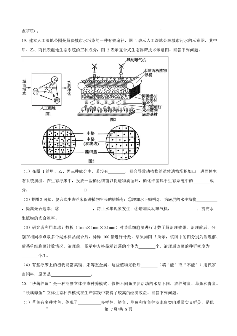 安徽省A10联盟2024-2025学年高二下学期3月阶段考生物学试题（原卷版）_2024-2025高二（7-7月题库）_2025年04月试卷(1)_0413安徽省A10联盟2024-2025学年高二下学期3月阶段考