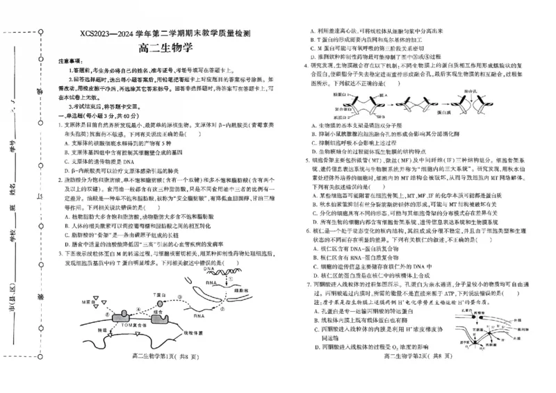 河南省许昌市2023-2024学年高二下学期7月期末教学质量检测生物试题_2024-2025高二（7-7月题库）_2024年07月试卷_0707河南省许昌市2023-2024学年高二下学期7月期末教学质量检测